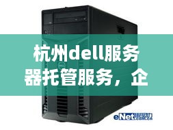 杭州dell服务器托管服务，企业IT基础设施的坚实后盾