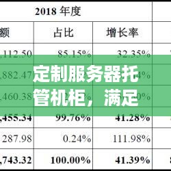 定制服务器托管机柜，满足现代数据中心的个性化需求