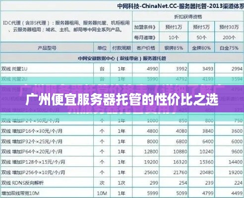 广州便宜服务器托管的性价比之选