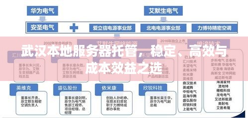 武汉本地服务器托管，稳定、高效与成本效益之选