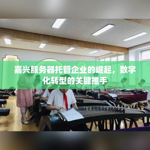 嘉兴服务器托管企业的崛起，数字化转型的关键推手