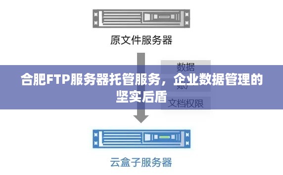 合肥FTP服务器托管服务，企业数据管理的坚实后盾