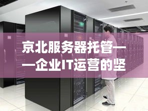 京北服务器托管——企业IT运营的坚实后盾