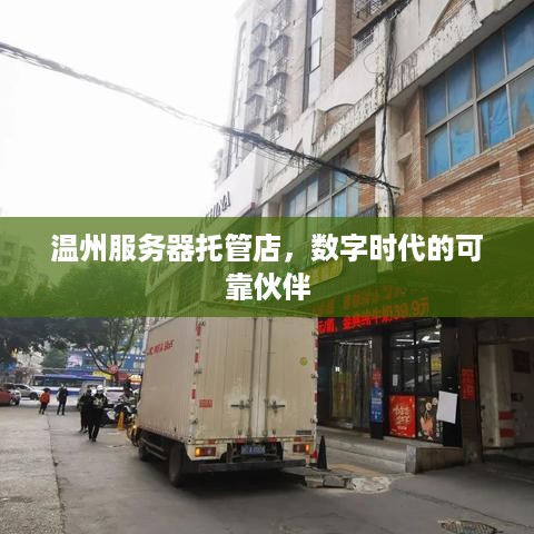 温州服务器托管店，数字时代的可靠伙伴