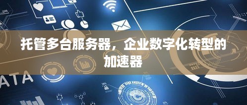 托管多台服务器，企业数字化转型的加速器