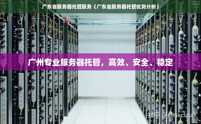 广州专业服务器托管，高效、安全、稳定