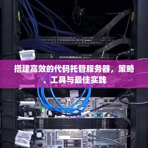 搭建高效的代码托管服务器，策略、工具与最佳实践