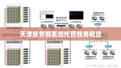 天津服务器系统托管服务概览