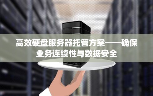 高效硬盘服务器托管方案——确保业务连续性与数据安全