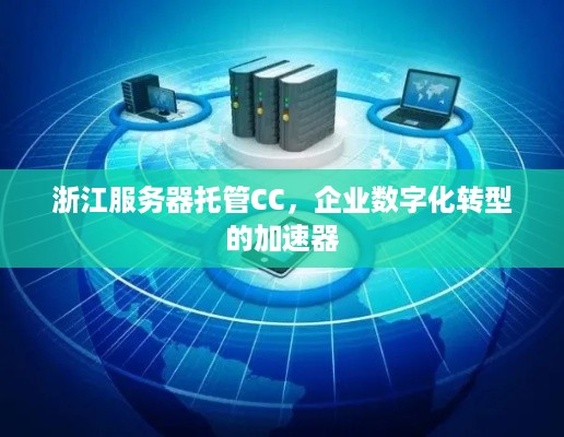 浙江服务器托管CC，企业数字化转型的加速器