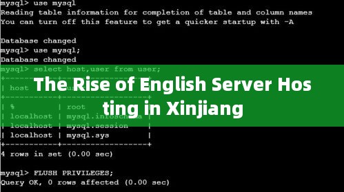 The Rise of English Server Hosting in Xinjiang