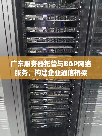 广东服务器托管与BGP网络服务，构建企业通信桥梁