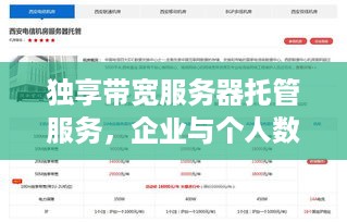 独享带宽服务器托管服务，企业与个人数据安全的新选择
