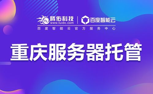 创业之翼——服务器托管点的崛起与挑战