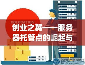 创业之翼——服务器托管点的崛起与挑战