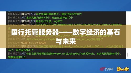 国行托管服务器——数字经济的基石与未来