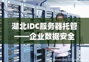 湖北IDC服务器托管——企业数据安全的坚固堡垒