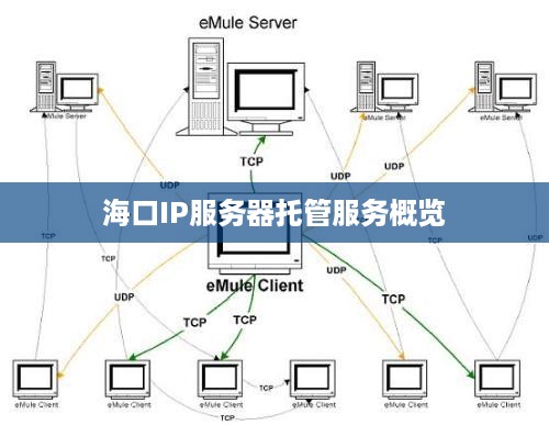 海口IP服务器托管服务概览