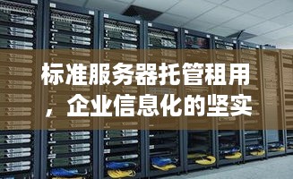 标准服务器托管租用，企业信息化的坚实基础