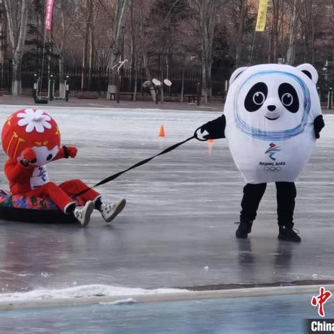 沈阳服务器托管公司的服务概览与选择指南