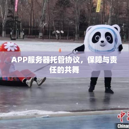 APP服务器托管协议，保障与责任的共舞