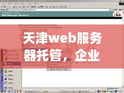 天津web服务器托管，企业信息化的坚实后盾