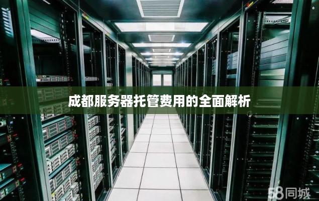 成都服务器托管费用的全面解析