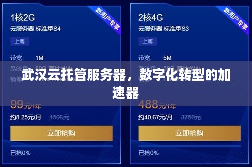 武汉云托管服务器，数字化转型的加速器
