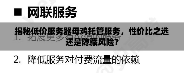 揭秘低价服务器母鸡托管服务，性价比之选还是隐藏风险？