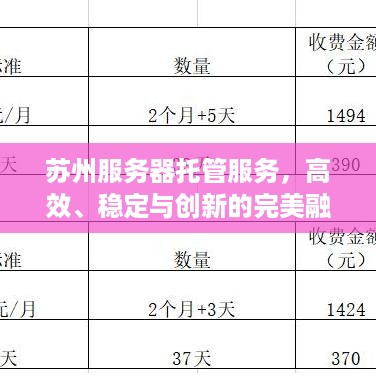 苏州服务器托管服务，高效、稳定与创新的完美融合