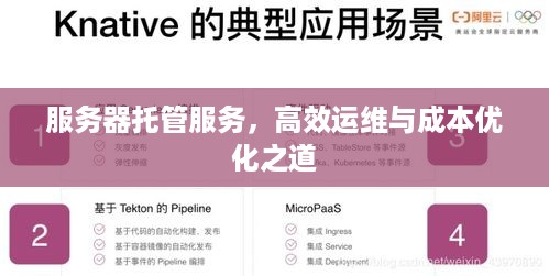 服务器托管服务，高效运维与成本优化之道