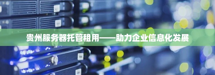 贵州服务器托管租用——助力企业信息化发展