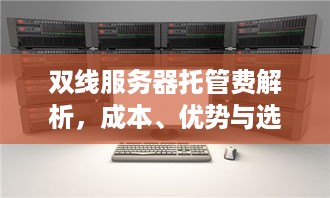 双线服务器托管费解析，成本、优势与选择指南