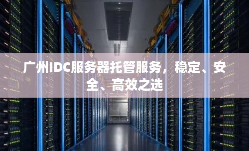 广州IDC服务器托管服务，稳定、安全、高效之选