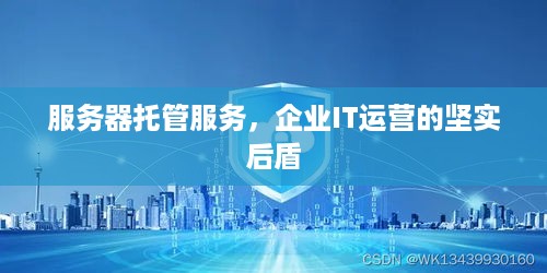 服务器托管服务，企业IT运营的坚实后盾