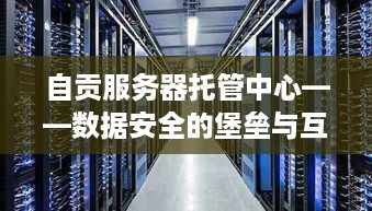 自贡服务器托管中心——数据安全的堡垒与互联网的动脉