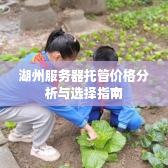 湖州服务器托管价格分析与选择指南