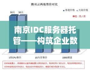 南京IDC服务器托管——构筑企业数据安全与效率的双重堡垒