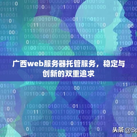 广西web服务器托管服务，稳定与创新的双重追求