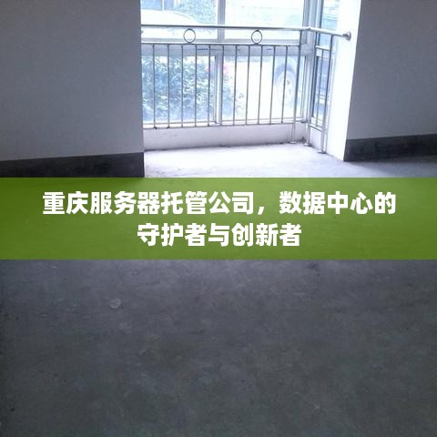 重庆服务器托管公司，数据中心的守护者与创新者