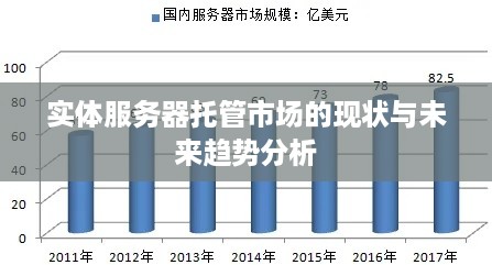 实体服务器托管市场的现状与未来趋势分析