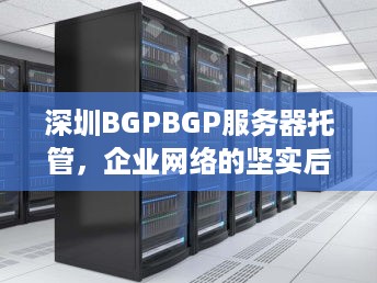 深圳BGPBGP服务器托管，企业网络的坚实后盾