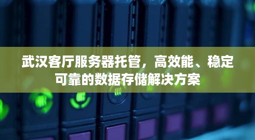 武汉客厅服务器托管，高效能、稳定可靠的数据存储解决方案