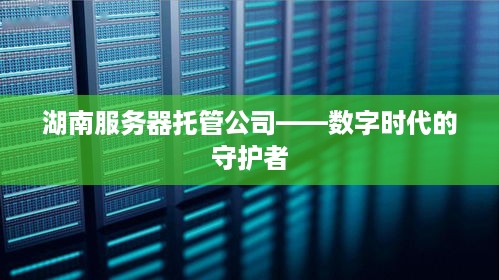 湖南服务器托管公司——数字时代的守护者