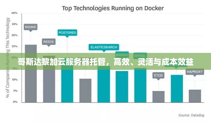 哥斯达黎加云服务器托管，高效、灵活与成本效益