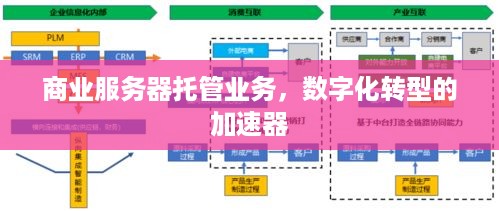 商业服务器托管业务，数字化转型的加速器