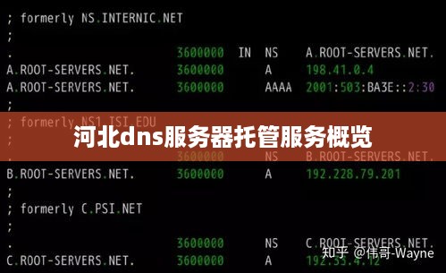 河北dns服务器托管服务概览