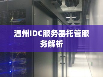 温州IDC服务器托管服务解析