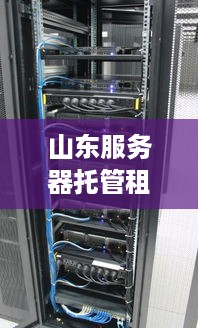 山东服务器托管租用服务解析