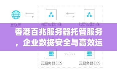 香港百兆服务器托管服务，企业数据安全与高效运营的黄金选择
